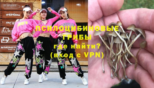 каннабис Алексеевка