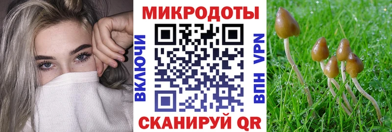 Псилоцибиновые грибы Cubensis Себеж